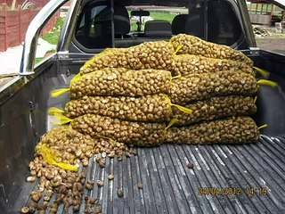 Snails Garden - parki hodowlane - START 2012