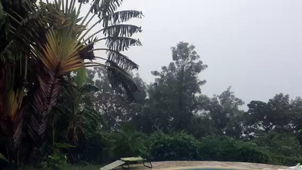 video FF