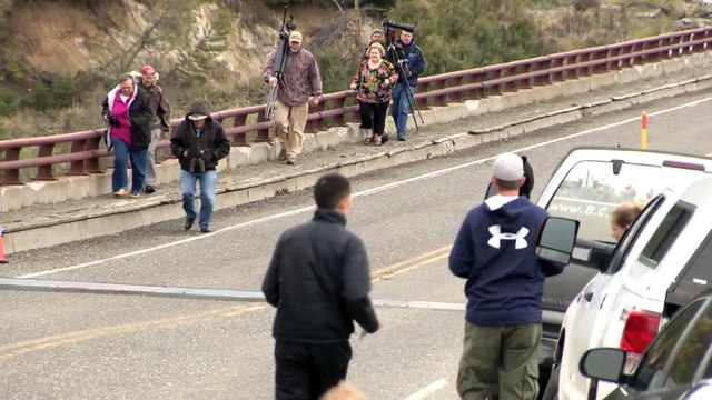 Des ours noirs chassent des touristes aux Etats-Unis