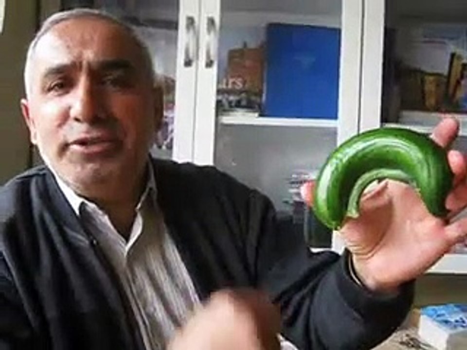 Kağızman'da Salatalık Mucizesi