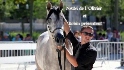 Naïm de l'Olivier - Concours régional de Preyssac 2015
