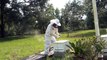 Beekeeping Caring for the Honey Bee Hive #4