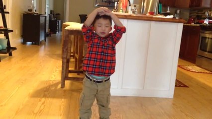 Toddler accurately explains how human heart works