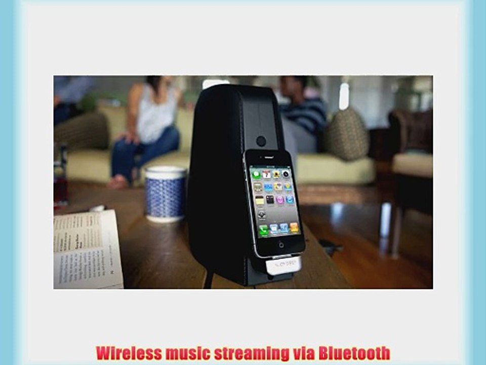 Audyssey Audio Dock Speaker System for iPod and iPhone