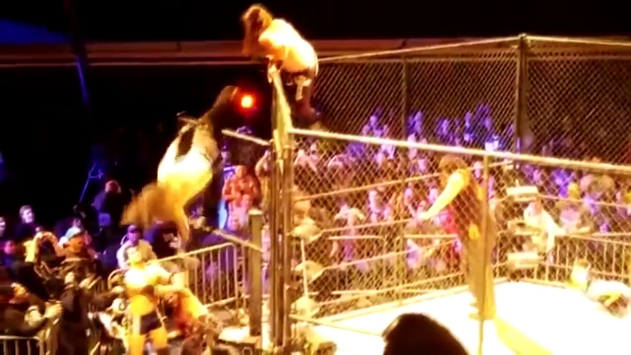 tna jeff hardy fell awkwardly Lockdown 2015