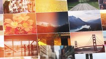 After Effects Project Files - Elegant Photo Gallery and Script - VideoHive 9741549
