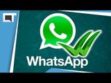 Whatsapp: como evitar que saibam que você esteve online no comunicador [Dicas e Matérias]