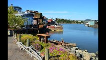 San Francisco VLOG: Mein Reisetagebuch: Tag 10 Sausalito & Fishermans Wharf