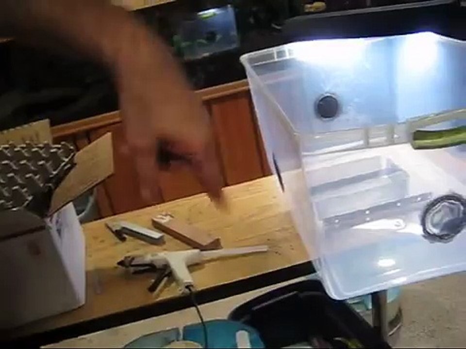 Roach colony upgrade!!