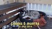 Lihkku 5 months wake up, an very happy Siberian Husky :-)