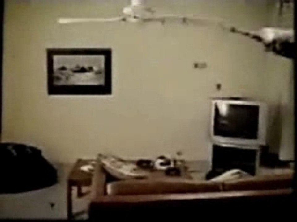 Gato