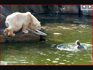 Polar Bear Attacks German Woman