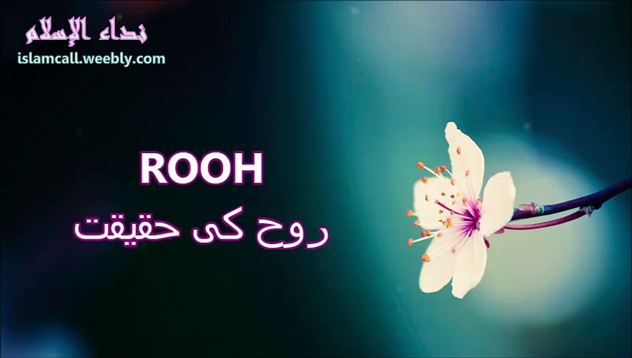 ROOH - Part 1 | Maulana Tariq Jameel