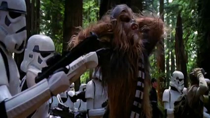 Les différentes humeurs de Chewbacca