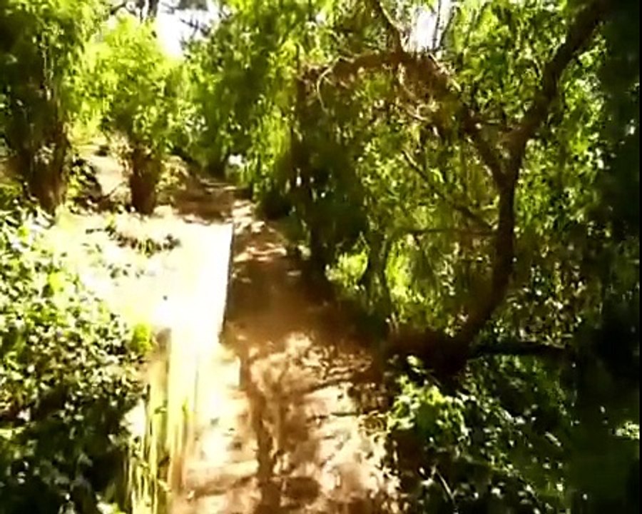 LEandro - Volta p'ra mim mamã@