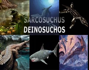 ANIMAIS PRÉ-HISTÓRICOS AQUÁTICOS