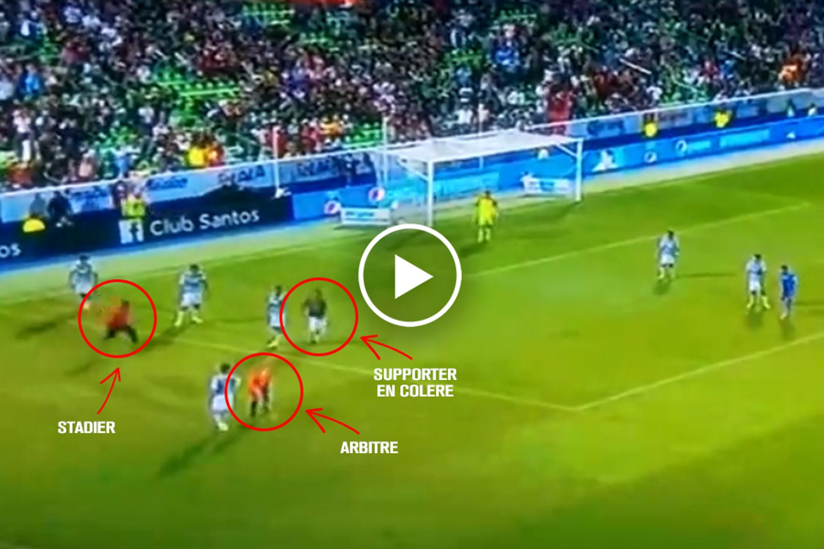 Un supporter tente de frapper l'arbitre en plein match ! - Vidéo