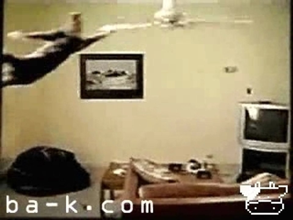 El Gato Volador