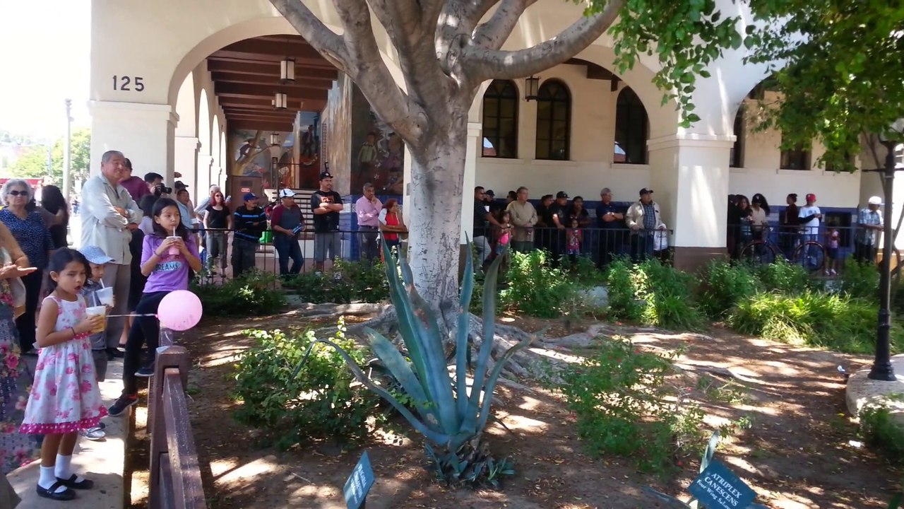 Alvera St 2