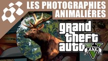 GTA V : Guide des Photographies Animalières