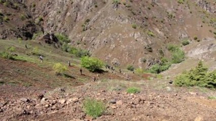 Otomobil Uçuruma Yuvarlandı: 1 Ölü, 6 Yaralı