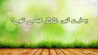 Hamare Nabi (S.A.W) kese the ? | Maulana Tariq Jameel