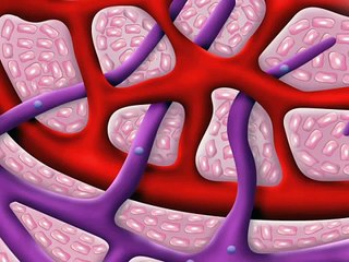 LYMPHATIC SYSTEM– CONCEPT BY MCATPAKISTAN