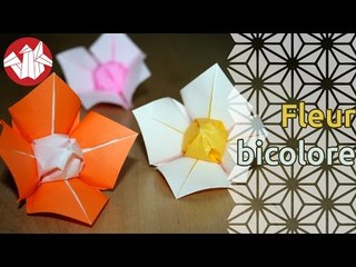 Origami - Fleur bicolore - Two color flower [Senbazuru]