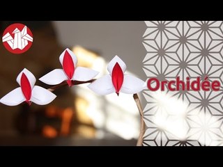 Origami - Orchidée - Orchid [Senbazuru]