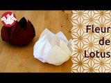 Origami - Fleur de lotus - Lotus Flower [Senbazuru]