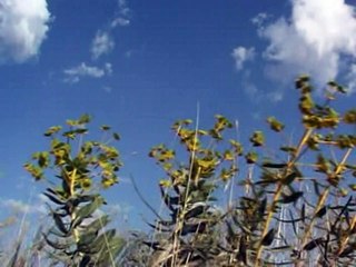 Stranén Êrivané 3 - Hey Dinyayé