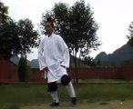 Wudang Kung Fu  玄武拳 Wudang Xuan Wu Quan