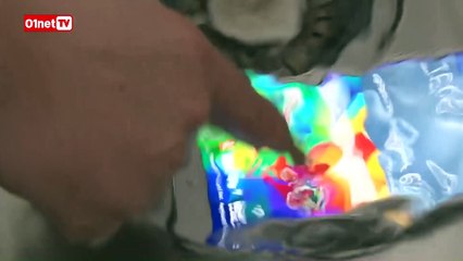 Quel smartphone étanche choisir ?