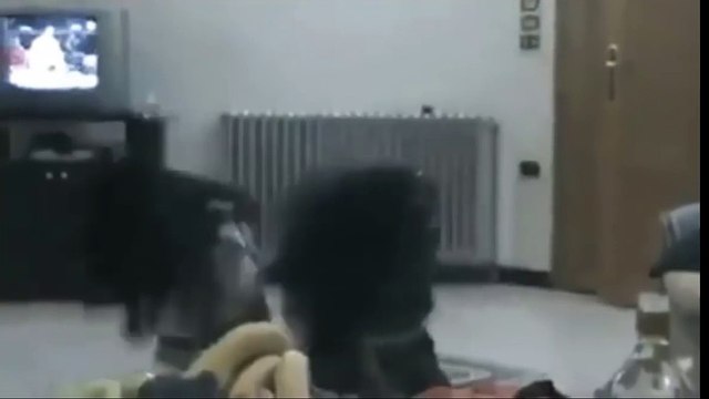 رقص بنات زي العسل- رقص على كيفك من بنات روبلا ra9s keek jadid