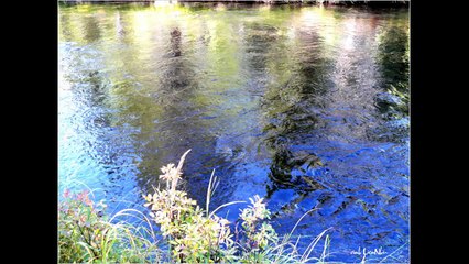 Xin Đừng Trách Anh -Nguyễn Văn Đông -Hà Thanh -LienNhu .wmv (HD)