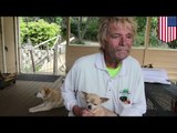 Ex marine de 73 años defiende su hogar y perros de enorme oso negro con solo sus puños