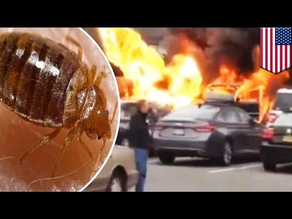 Auto lleno de alcohol explota luego de que un hombre decidiera fumar junto a este