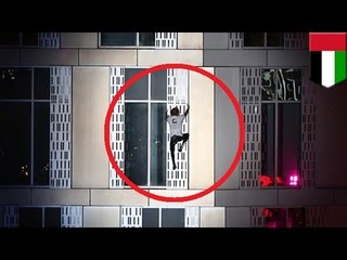 Hombre araña francés Alain Robert escala la torre Cayan de Dubai