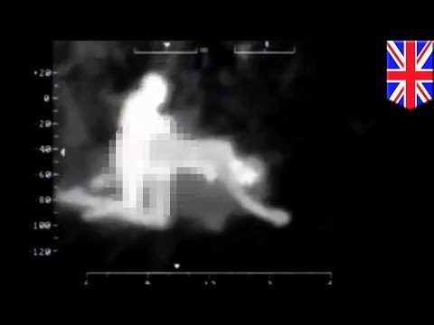 Helicóptero de la policía sorprende a pareja en el reino Unido teniendo relaciones en un parque