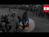 Horse race accident: Man gets trampled to death after walking on track in Peru - TomoNews