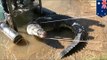 Crocodile caught: watch police in Australia capture 4.3 meter croc - TomoNews