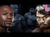 Mayweather vs Pacquiao: Money vs Pacman in pound for pound ‘Fight of the Century’ - TomoNews
