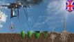 Seed bomb drones: UK-based start-up to plant one billion trees in one year using drones
