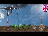 Seed bomb drones: UK-based start-up to plant one billion trees in one year using drones