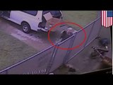 Animal cruelty: Adorable puppies cruelly tossed over fence by school worker - Caught on video
