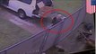 Animal cruelty: Adorable puppies cruelly tossed over fence by school worker - Caught on video