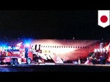 Airplane crash: Asiana Airlines flight skids off runway in Hiroshima, injuring 20 passengers
