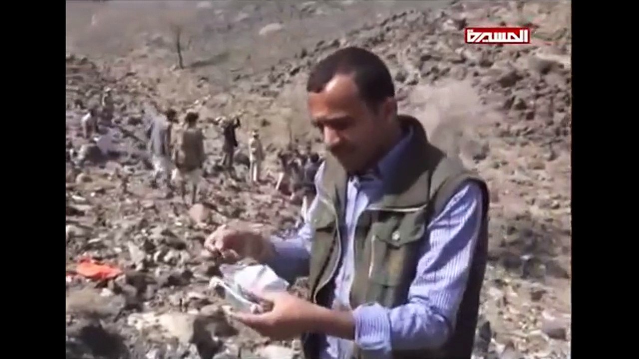 Yemen rebels claim to have downed coalition jet downed