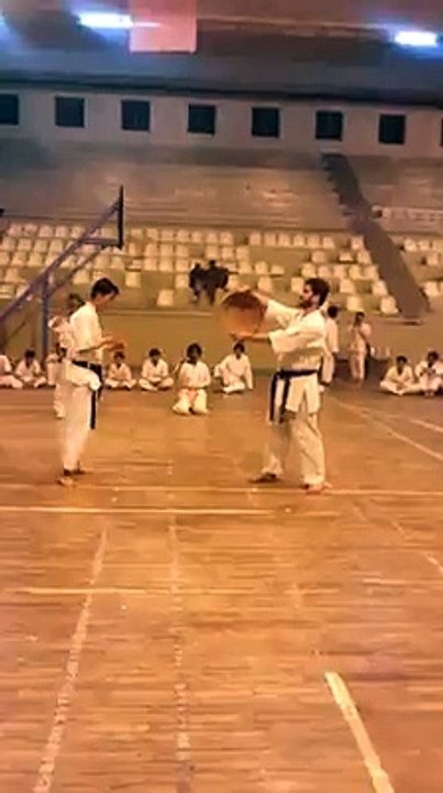 karate breaking