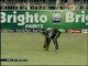 fall off wickets Peshawar Panthers Haier Super8 T20 Cup, at Faisalabad, May 11, 2015